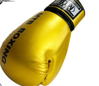 Adult Boxing Gloves