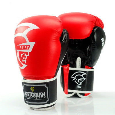 Professional boxing gloves