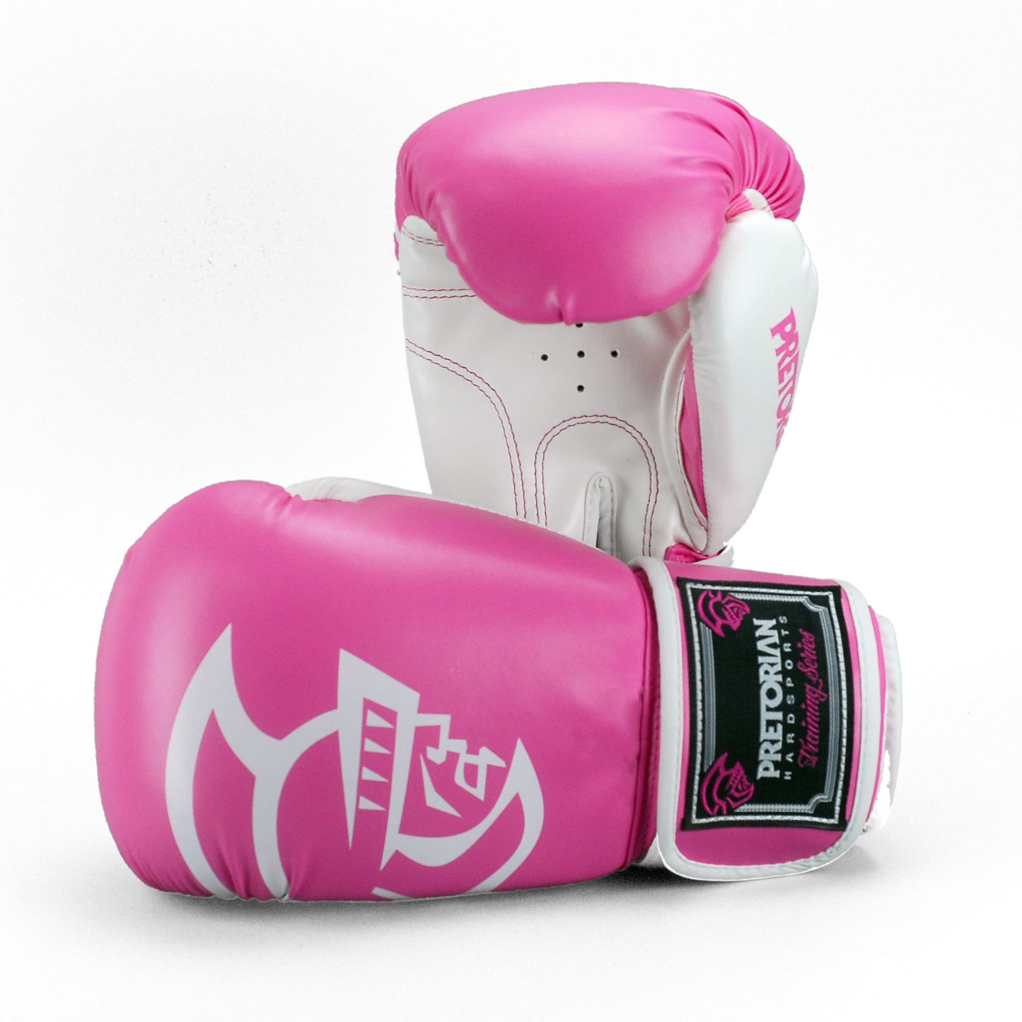 Professional boxing gloves