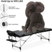 Portable Massage Table