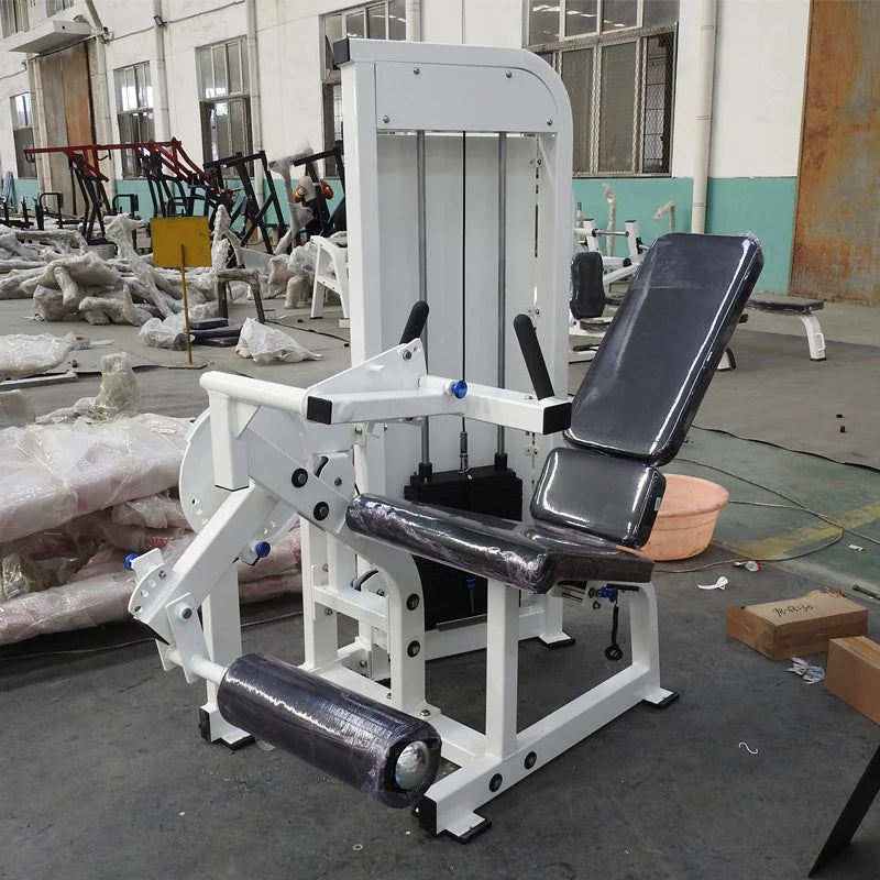 Leg Press and Extension Machine